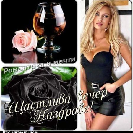 Къща За Гости "Черната Роза" Bulgarevo Luaran gambar